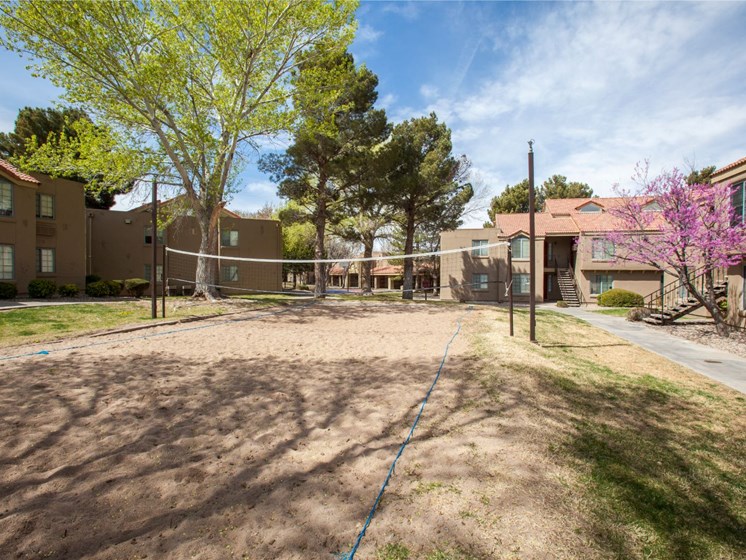 Community Volleyball Court at Cinnamon Tree Apartments in Albuquerque, MN